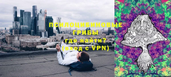 гидра Медвежьегорск