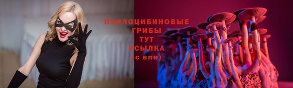 гидра Медвежьегорск