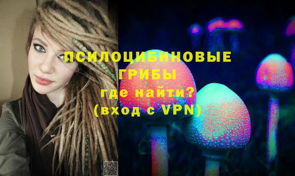гидра Медвежьегорск