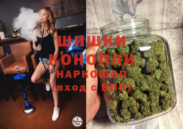 гидра Медвежьегорск