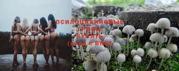 mdpv Медногорск