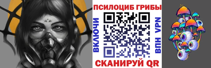 Галлюциногенные грибы Cubensis  цена   Медынь 