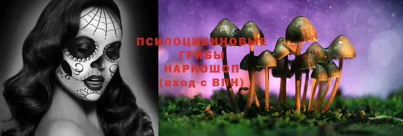 Галлюциногенные грибы Magic Shrooms  маркетплейс клад  Медынь 